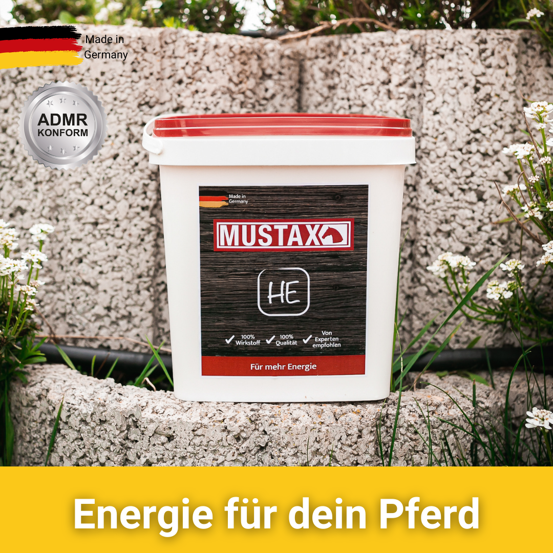 MUSTAX Wzrost Energii